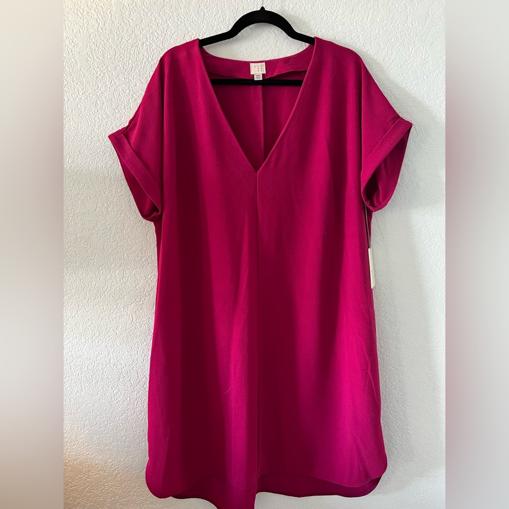 NWT Pink V Neck Shift Dress
